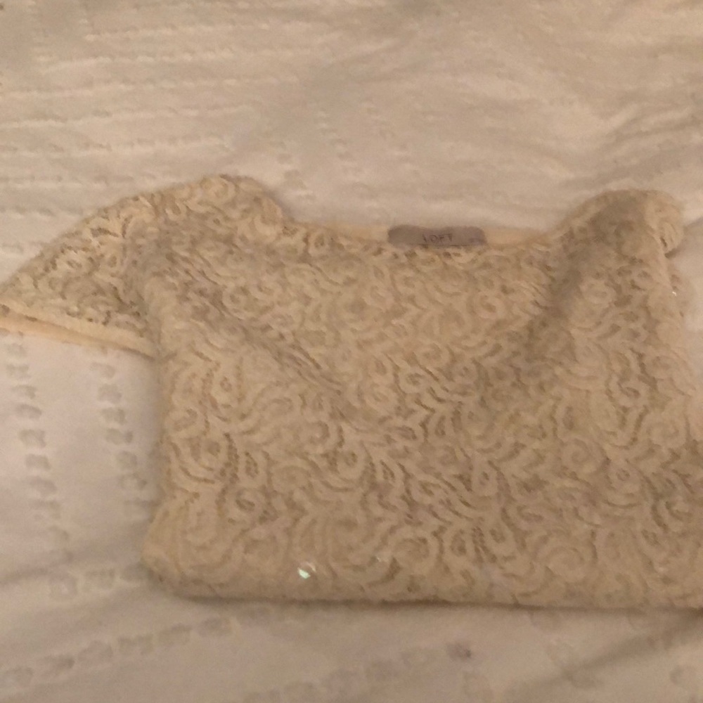 Cream gentle subtle sparkled lace top